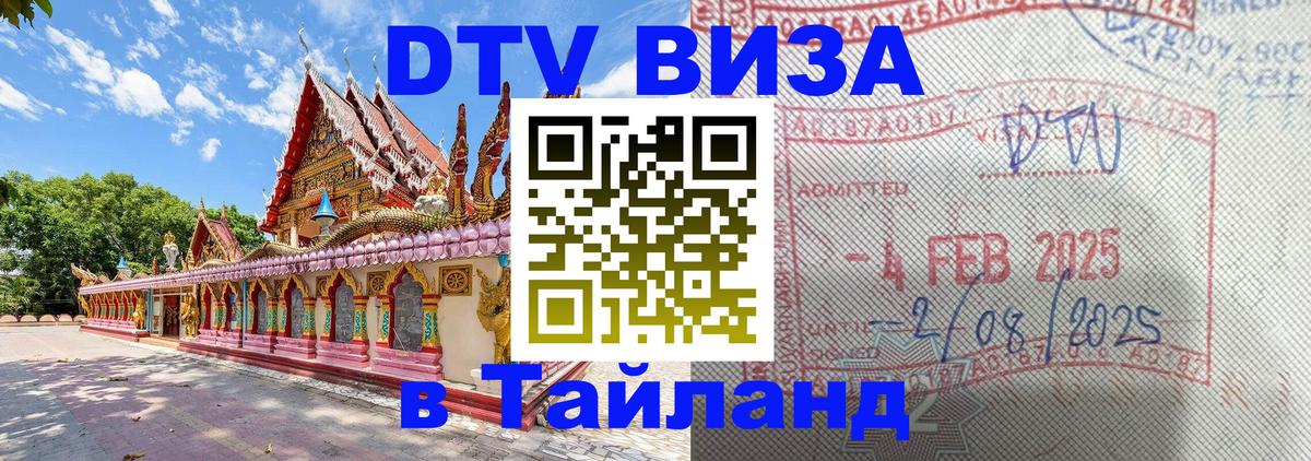 Оформление DTV визы под ключ: стоимость и тарифы, только загранпаспорт - 